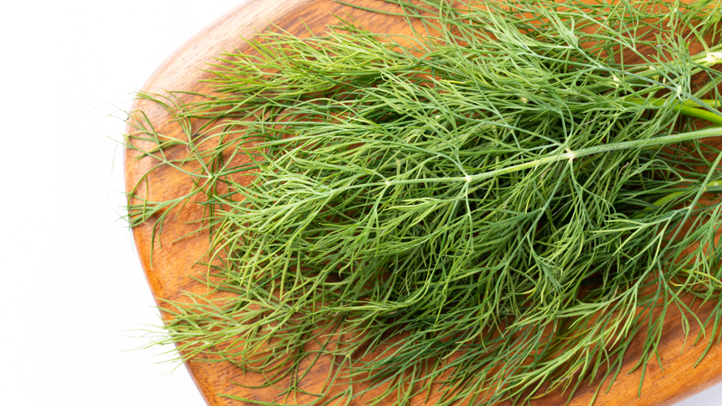 Top 10 rau thơm tốt cho sức khỏe của bạn 1