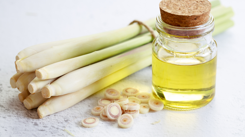 Top 10 rau thơm tốt cho sức khỏe của bạn 3