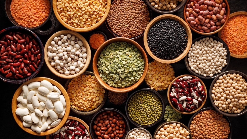 Các loại đậu chứa nhiều protein tốt cho sự phát triển não bộ