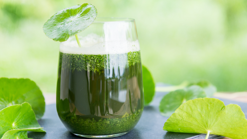 Top 14 cách giảm nồng độ cồn đơn giản 2