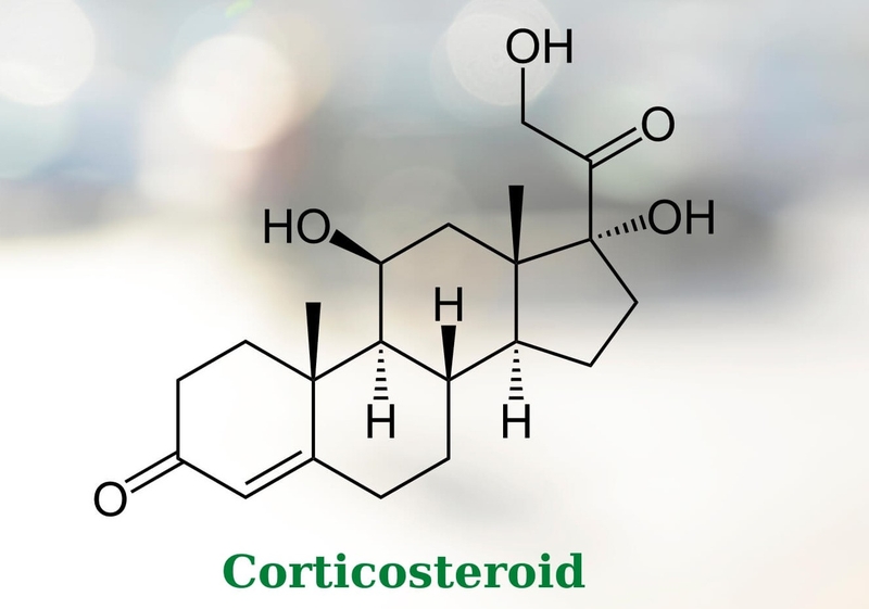 Top 16 thuốc bôi vảy nến an toàn và hiệu quả không phải ai cũng biết 5