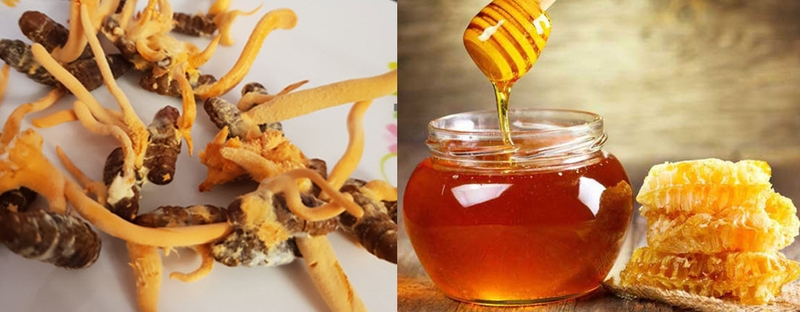 Top 3 cách chế biến đông trùng hạ thảo siêu bổ dưỡng 3