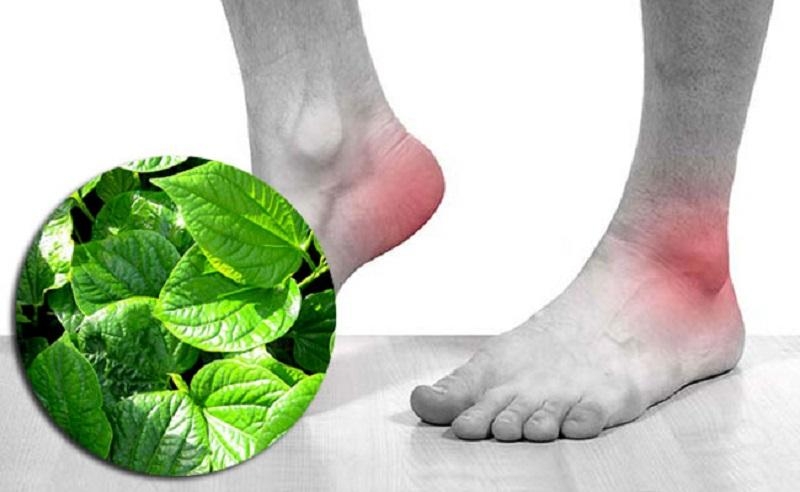 Top 4 cách điều trị bệnh gout tại nhà 2