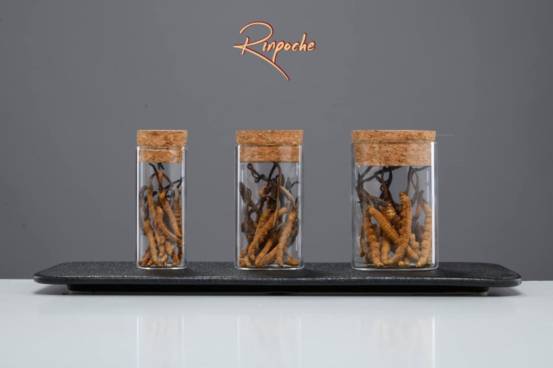 Top 5 địa chỉ bán đông trùng hạ thảo uy tín 1