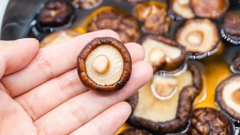 Top 5 loại nấm giảm cân ít calo nên thêm vào chế độ ăn kiêng 2