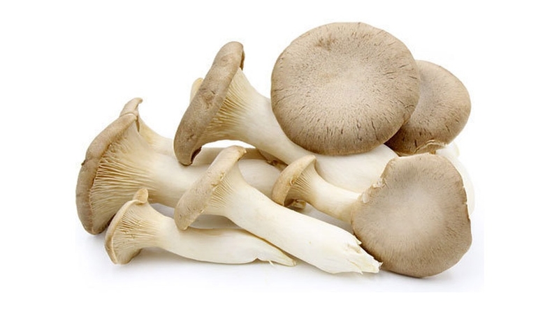 Top 5 loại nấm giảm cân ít calo nên thêm vào chế độ ăn kiêng 3