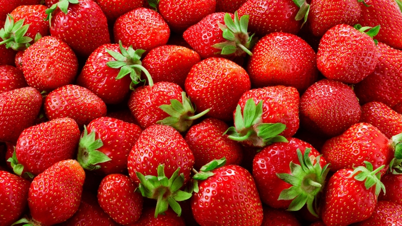 Dâu tây cung cấp anthocyanin, vitamin C và chất xơ tốt cho sức khỏe
