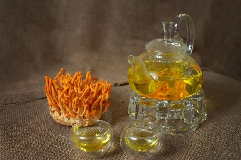 trà đông trùng hạ thảo