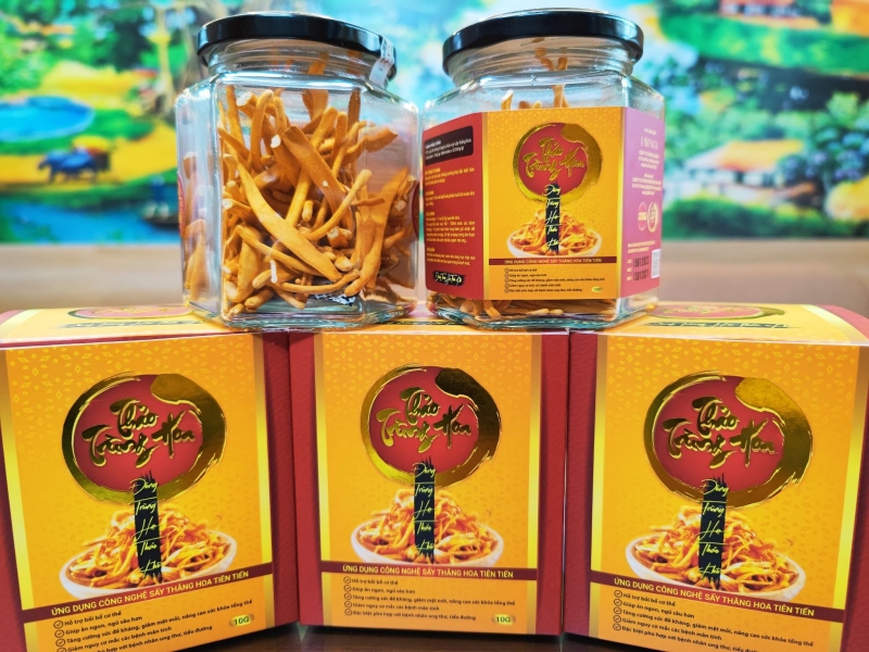 đông trùng hạ thảo khô