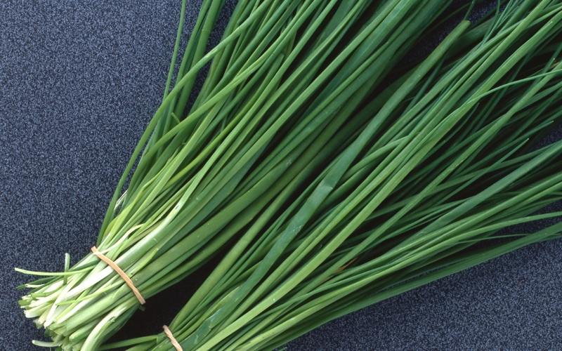 Top 5 thuốc ho cho bà bầu được các chuyên gia y tế khuyến cáo 3