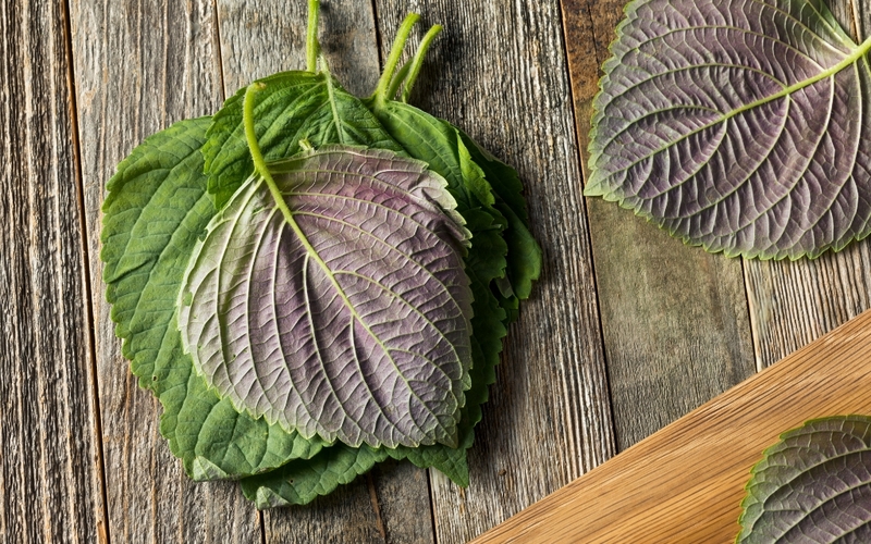 Top 5 thuốc ho cho bà bầu được các chuyên gia y tế khuyến cáo 4