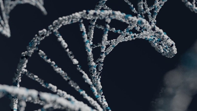 Top 6 bài tập giảm mỡ toàn thân cho nữ trong 1 tuần không phải ai cũng biết 4