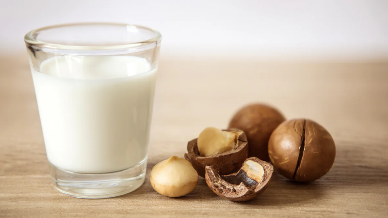 Top 7 các loại sữa hạt cho bé 2 tuổi tốt nhất mà mẹ nào cũng nên biết 3