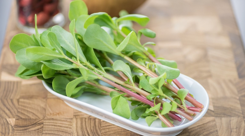 Top 7 loại “rau trường thọ” cực tốt cho sức khỏe bạn nên biết 1