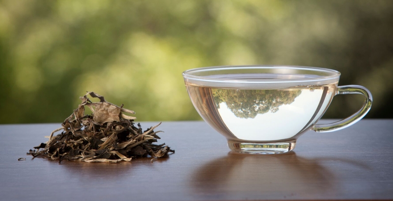 Top 7 loại trà tốt cho sức khỏe bạn nên uống mỗi ngày 2
