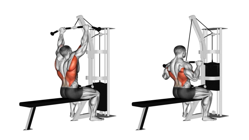 Top các bài tập cơ lưng xô hiệu quả dành cho nam giới 1