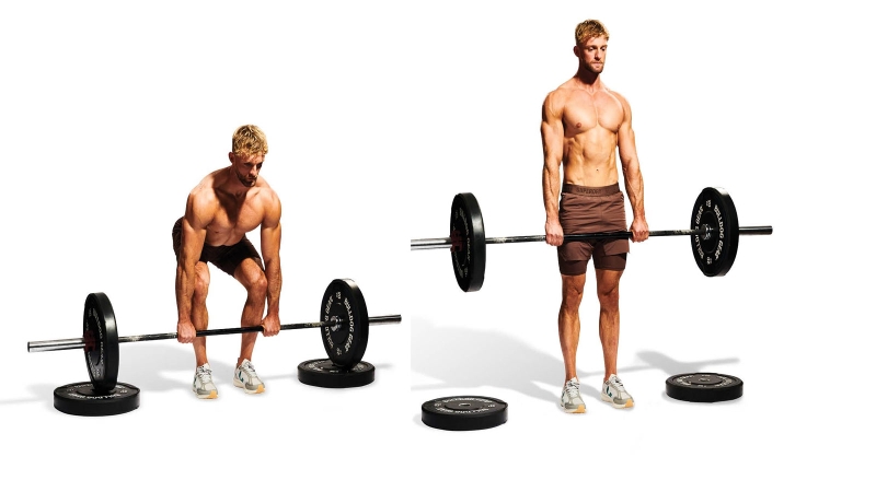 Top các bài tập cơ lưng xô hiệu quả dành cho nam giới 2