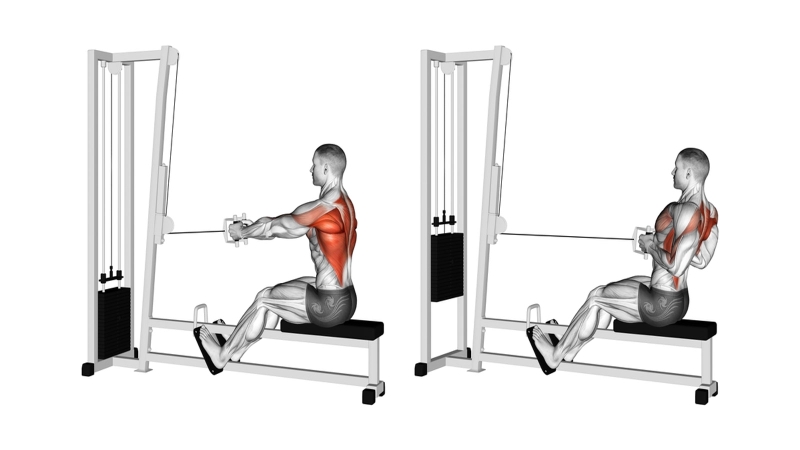 Top các bài tập cơ lưng xô hiệu quả dành cho nam giới 3