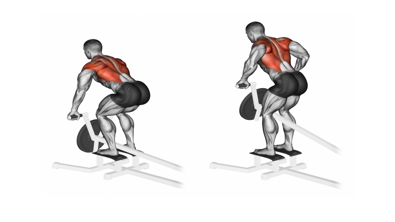 Top các bài tập cơ lưng xô hiệu quả dành cho nam giới 4