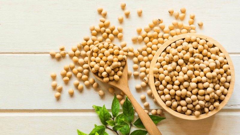 Top các loại hạt làm sữa hạt: Đa dạng dinh dưỡng, tốt cho sức khỏe 2