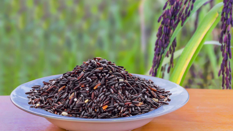 Top các loại hạt làm sữa hạt: Đa dạng dinh dưỡng, tốt cho sức khỏe 3