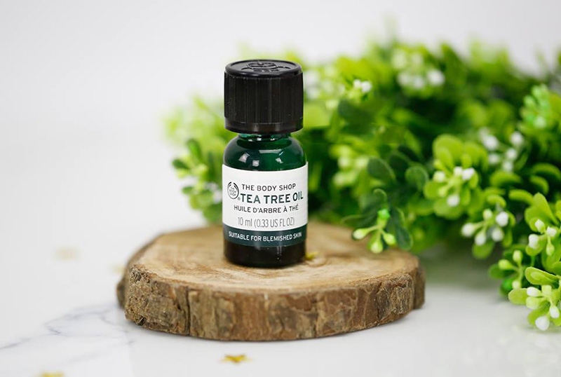 Top list Tea Tree Oil chống lão hóa cực hot mùa này