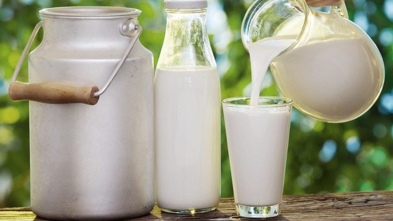 Top thực phẩm màu trắng tốt cho sức khoẻ mà bạn nên biết 3