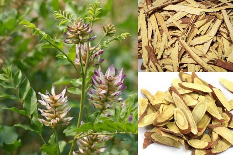 Điều trị u nang buồng trứng bằng cam thảo