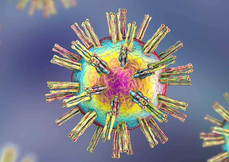 Torch là gì? Một số bệnh nhiễm trùng có liên quan đến Torch 3