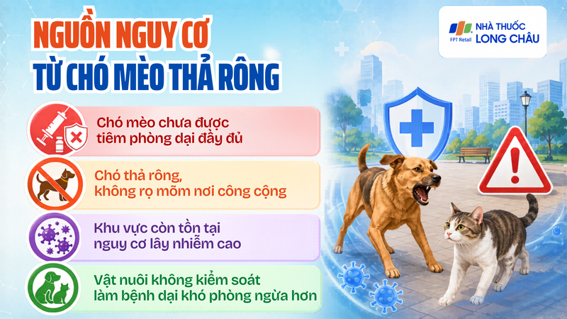 Chó mèo chưa tiêm phòng, thả rông làm tăng nguy cơ phơi nhiễm dại