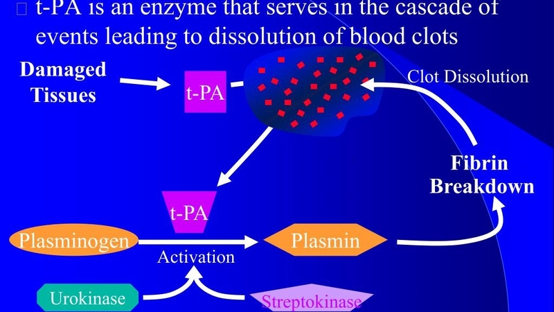 TPA là gì? Tầm quan trọng của TPA trong điều trị đột quỵ 1