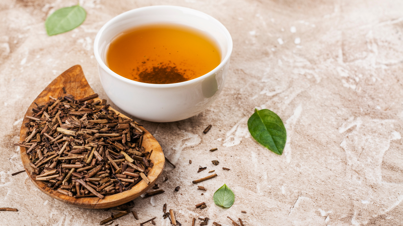 Trà Bancha là gì? Lợi ích của trà Bancha đối với sức khỏe 2