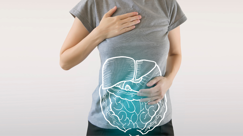 Trà Bancha là gì? Lợi ích của trà Bancha đối với sức khỏe 3