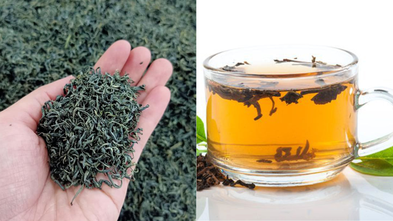 Trà bị mốc: Dấu hiệu nhận biết và ảnh hưởng của chúng đến sức khoẻ 2