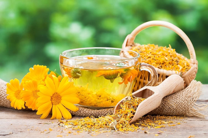 Trà Calendula: Lợi ích đối với sức khỏe và làm đẹp 1
