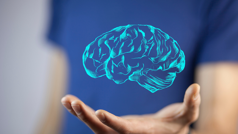 Trà Houjicha là gì - Công dụng của trà Houjicha đối với sức khỏe 3