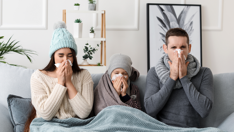 Trà Houjicha là gì - Công dụng của trà Houjicha đối với sức khỏe 4