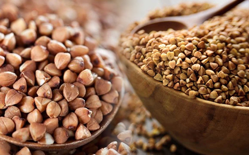 Trà kiều mạch có rất nhiều tác dụng hữu ích đối với sức khỏe của bạn