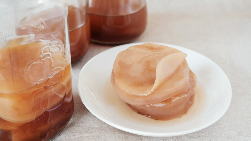 Một trong những tác dụng phổ biến nhất của kombucha là hỗ trợ tiêu hóa