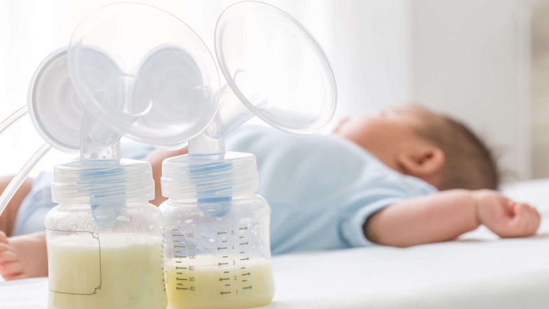 Trà lợi sữa là gì? Uống trà lợi sữa có tốt không? 4