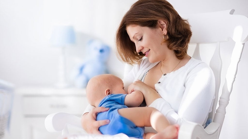 Trà lợi sữa là gì? Uống trà lợi sữa có tốt không? 1