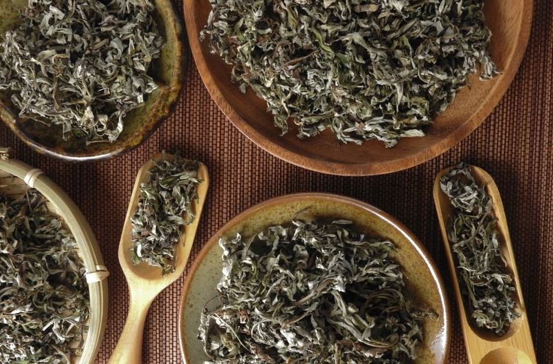 Khám phá công dụng bất ngờ của trà ngải cứu 2