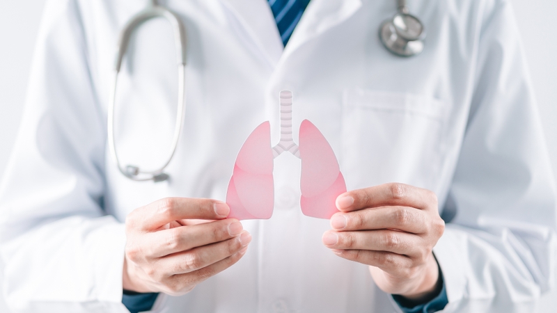 Trà Tía Tô – Gừng Kami Tea hỗ trợ tiêu hoá, chữa cảm mạo hiệu quả 1