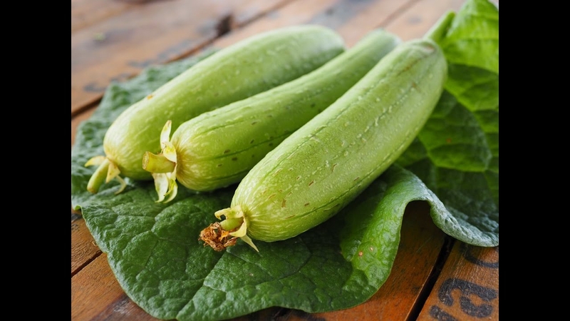 uống trà xanh hạ đường huyết 02