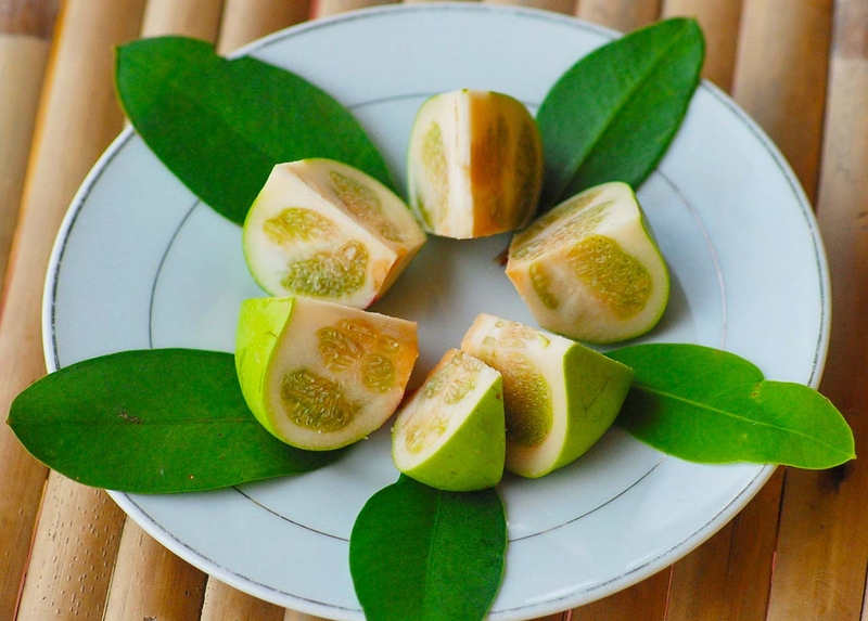 Trái bần chữa ung thư phổi?2