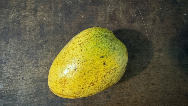 Chỉ ăn quả chín, không ăn quá nhiều, tránh ăn khi đói nếu dạ dày yếu