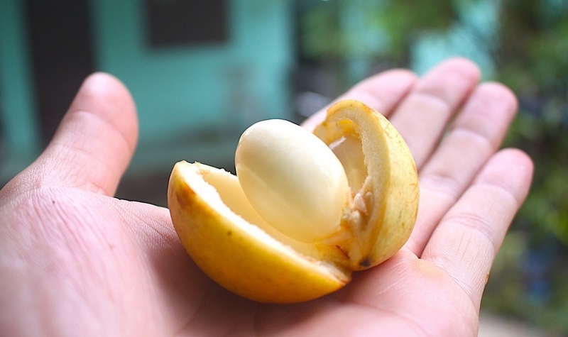 Trái dâu da và những lợi ích đáng kể cho sức khỏe 2