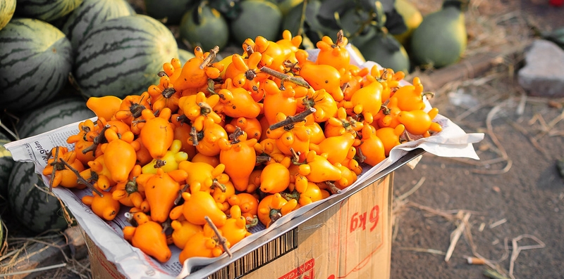 Trái dư ăn được không? Công dụng chữa bệnh của trái dư không phải ai cũng biết 4