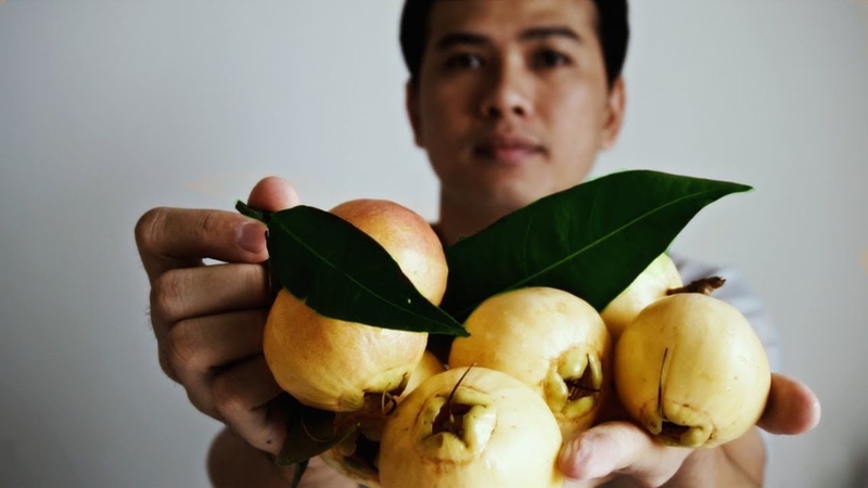 Trái lý: Thành phần dinh dưỡng và lợi ích sức khỏe ít người biết - Nhà thuốc FPT Long Châu