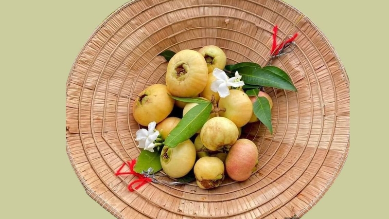 Trái lý: Thành phần dinh dưỡng và lợi ích sức khỏe ít người biết 4